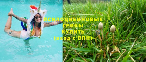spice Балахна