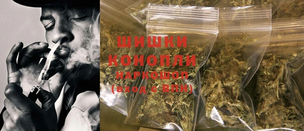 молекула духа Снежногорск